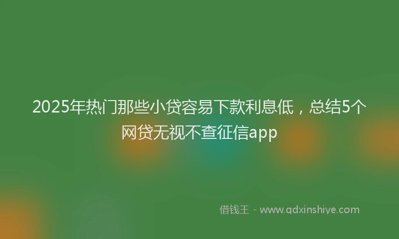 2025年热门那些小贷容易下款利息低，总结5个网贷无视不查征信app