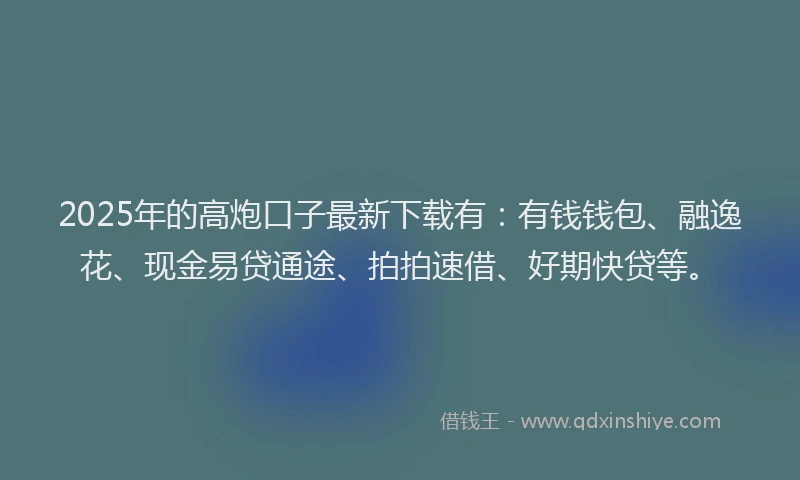 2025年的高炮口子最新下载有：有钱钱包、融逸花、现金易贷通途、拍拍速借、好期快贷等。