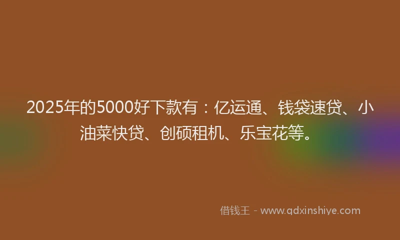 2025年的5000好下款有：亿运通、钱袋速贷、小油菜快贷、创硕租机、乐宝花等。