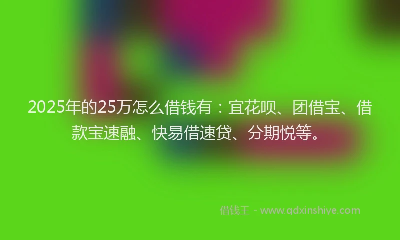 2025年的25万怎么借钱有：宜花呗、团借宝、借款宝速融、快易借速贷、分期悦等。
