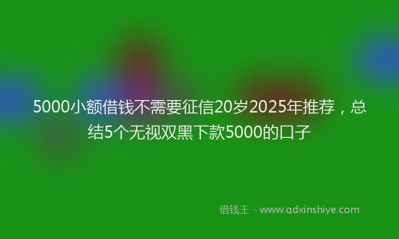 5000小额借钱不需要征信20岁2025年推荐，总结5个无视双黑下款5000的口子