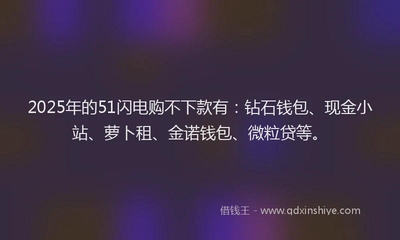 2025年的51闪电购不下款有：钻石钱包、现金小站、萝卜租、金诺钱包、微粒贷等。