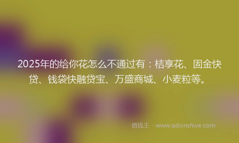 2025年的给你花怎么不通过有：桔享花、固金快贷、钱袋快融贷宝、万盛商城、小麦粒等。