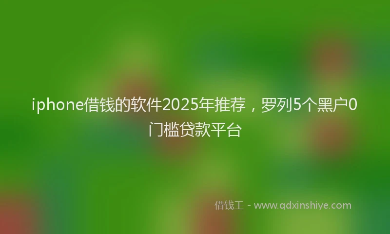 iphone借钱的软件2025年推荐，罗列5个黑户0门槛贷款平台