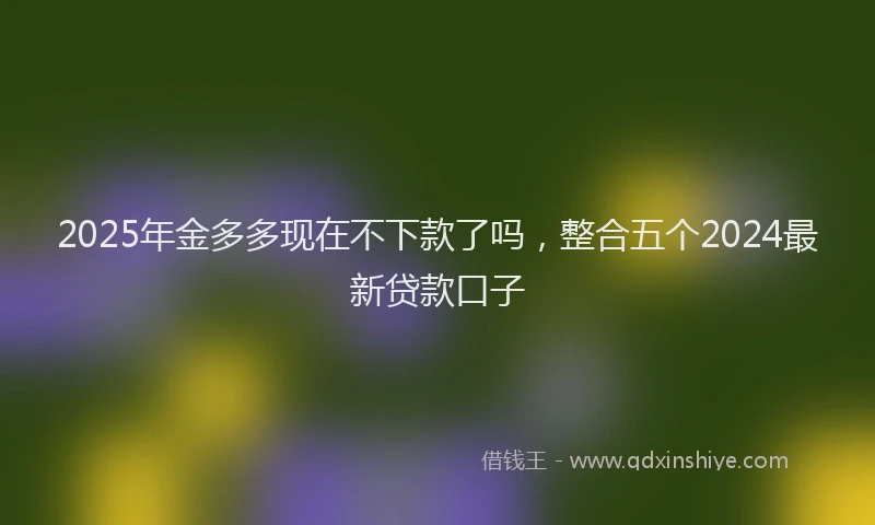 2025年金多多现在不下款了吗，整合五个2024最新贷款口子