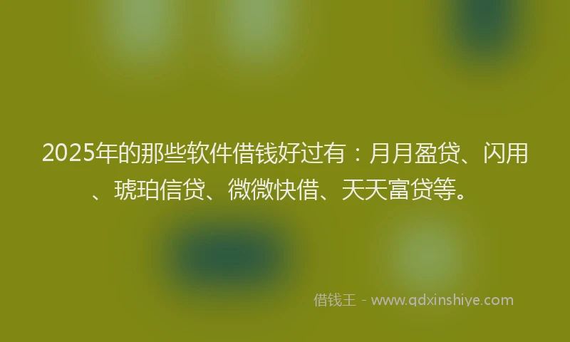 2025年的那些软件借钱好过有：月月盈贷、闪用、琥珀信贷、微微快借、天天富贷等。