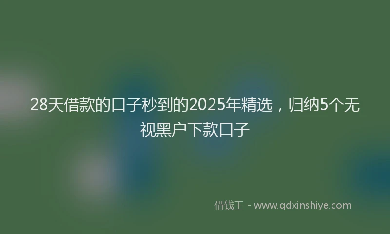 28天借款的口子秒到的2025年精选，归纳5个无视黑户下款口子