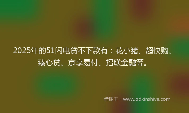 2025年的51闪电贷不下款有：花小猪、超快购、臻心贷、京享易付、招联金融等。