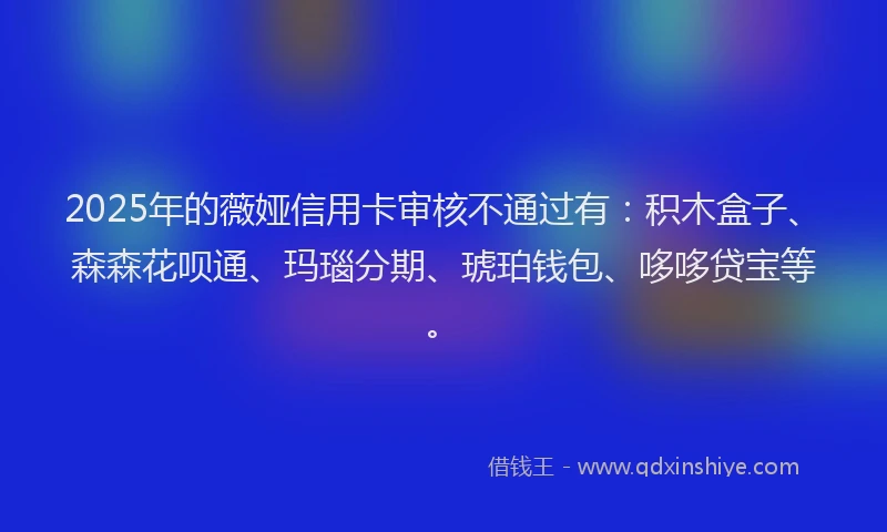 2025年的薇娅信用卡审核不通过有：积木盒子、森森花呗通、玛瑙分期、琥珀钱包、哆哆贷宝等。