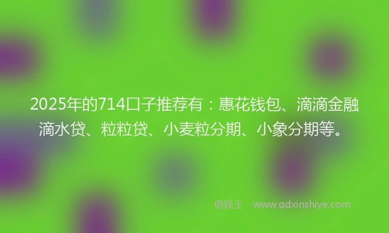 2025年的714口子推荐有：惠花钱包、滴滴金融滴水贷、粒粒贷、小麦粒分期、小象分期等。