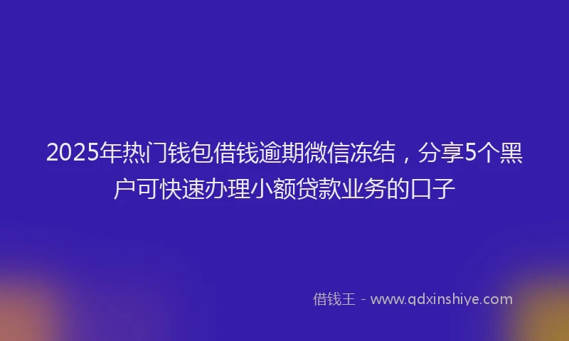 2025年热门钱包借钱逾期微信冻结，分享5个黑户可快速办理小额贷款业务的口子