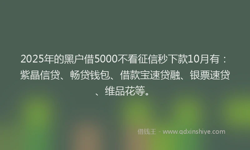 2025年的黑户借5000不看征信秒下款10月有：紫晶信贷、畅贷钱包、借款宝速贷融、银票速贷、维品花等。