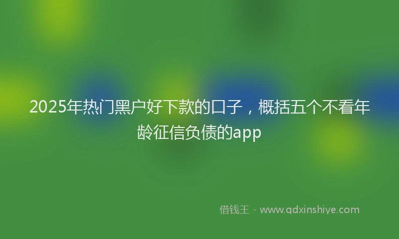 2025年热门黑户好下款的口子，概括五个不看年龄征信负债的app