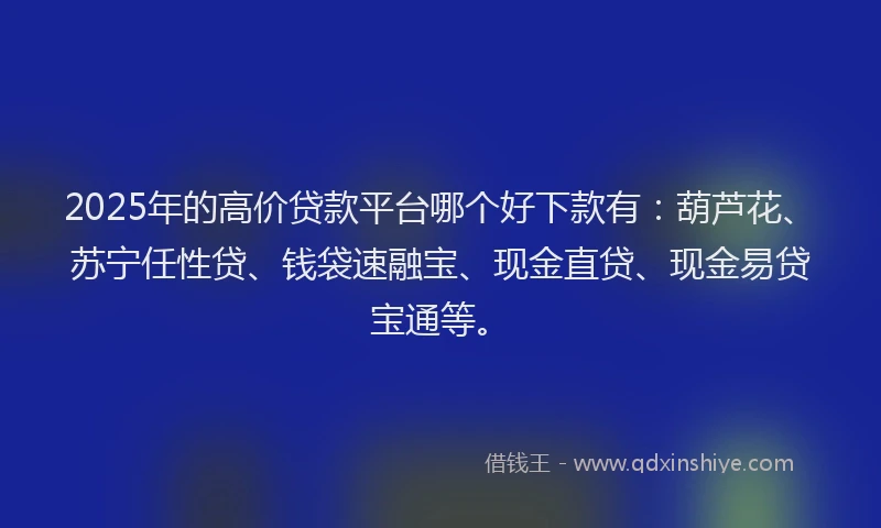 2025年的高价贷款平台哪个好下款有：葫芦花、苏宁任性贷、钱袋速融宝、现金直贷、现金易贷宝通等。