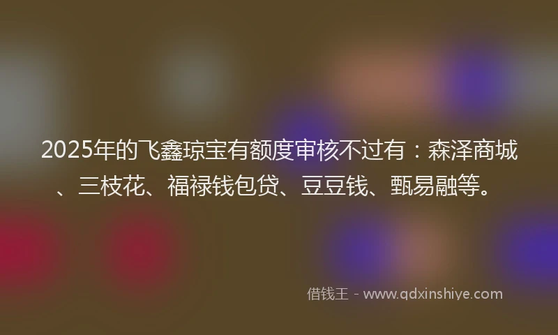 2025年的飞鑫琼宝有额度审核不过有：森泽商城、三枝花、福禄钱包贷、豆豆钱、甄易融等。