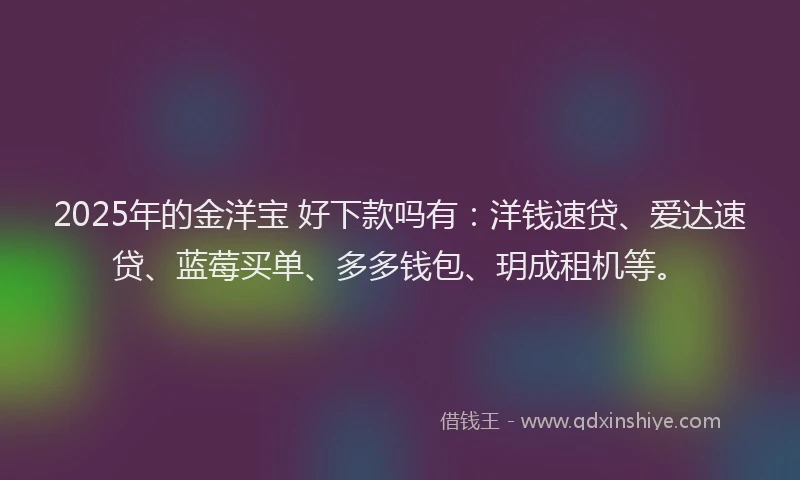 2025年的金洋宝 好下款吗有：洋钱速贷、爱达速贷、蓝莓买单、多多钱包、玥成租机等。