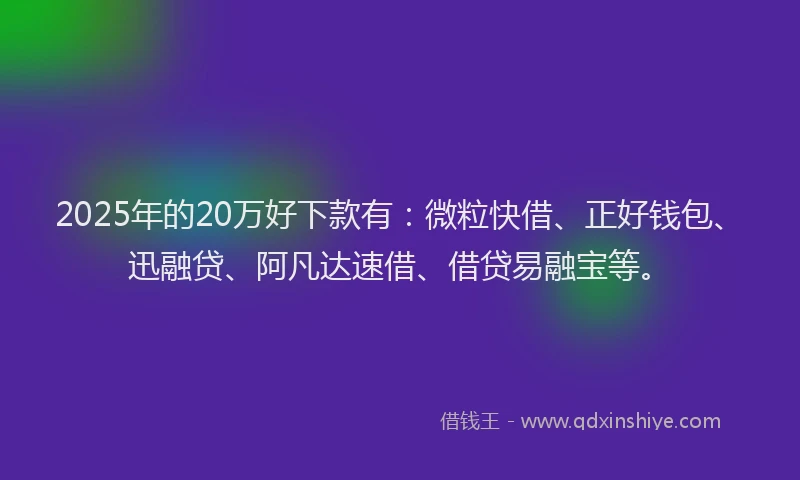 2025年的20万好下款有:微粒快借、正好钱包、迅融贷、阿凡达速借、借贷易融宝等。