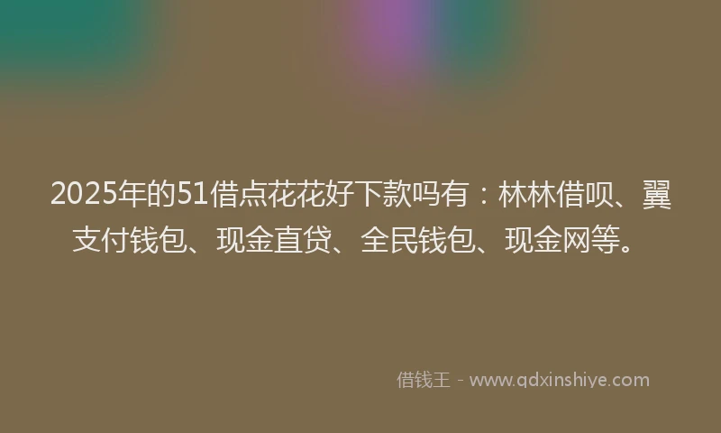 2025年的51借点花花好下款吗有：林林借呗、翼支付钱包、现金直贷、全民钱包、现金网等。