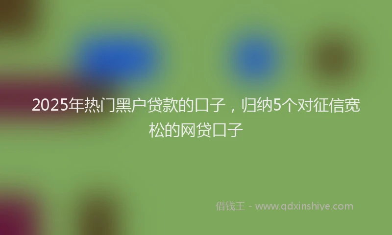 2025年热门黑户贷款的口子，归纳5个对征信宽松的网贷口子