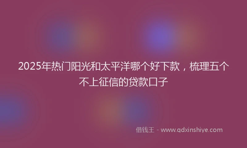 2025年热门阳光和太平洋哪个好下款，梳理五个不上征信的贷款口子