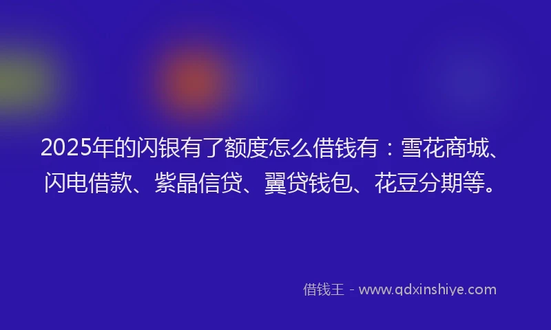 2025年的闪银有了额度怎么借钱有：雪花商城、闪电借款、紫晶信贷、翼贷钱包、花豆分期等。