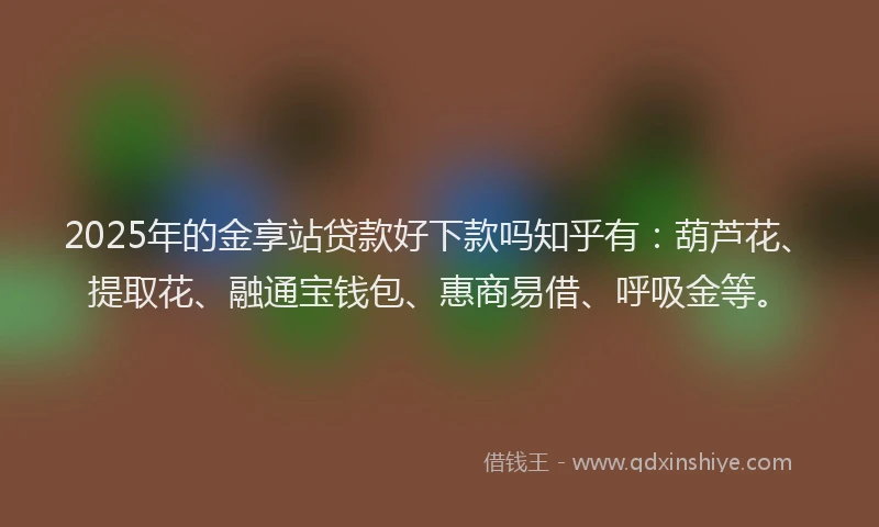 2025年的金享站贷款好下款吗知乎有：葫芦花、提取花、融通宝钱包、惠商易借、呼吸金等。