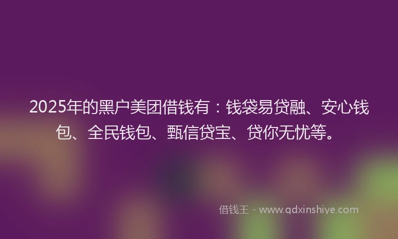 2025年的黑户美团借钱有：钱袋易贷融、安心钱包、全民钱包、甄信贷宝、贷你无忧等。