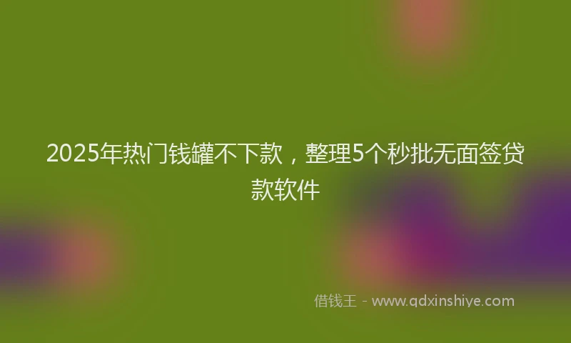 2025年热门钱罐不下款，整理5个秒批无面签贷款软件
