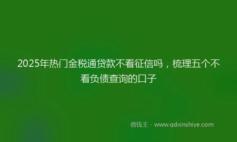 2025年热门金税通贷款不看征信吗，梳理五个不看负债查询的口子