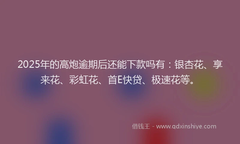 2025年的高炮逾期后还能下款吗有：银杏花、享来花、彩虹花、首E快贷、极速花等。