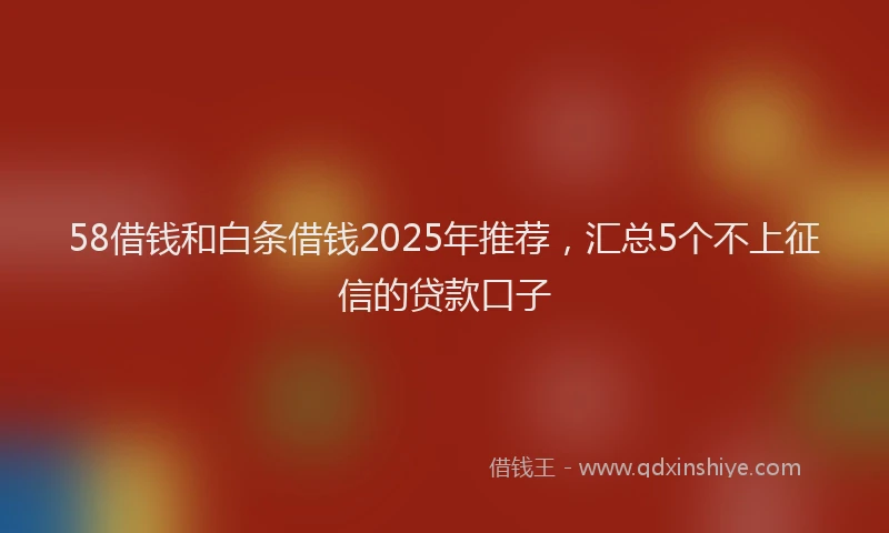 58借钱和白条借钱2025年推荐，汇总5个不上征信的贷款口子