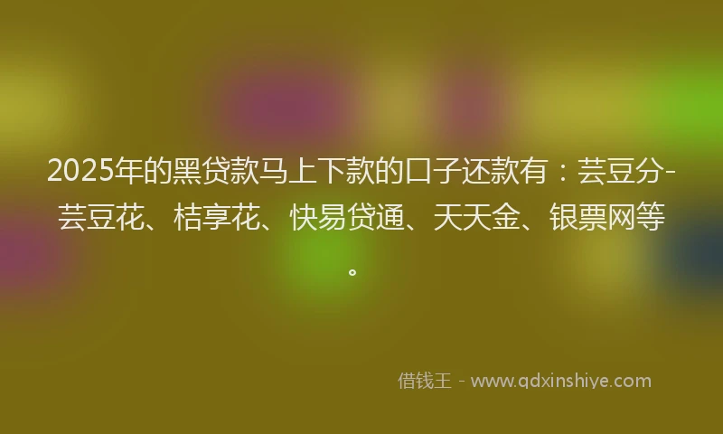 2025年的黑贷款马上下款的口子还款有：芸豆分-芸豆花、桔享花、快易贷通、天天金、银票网等。