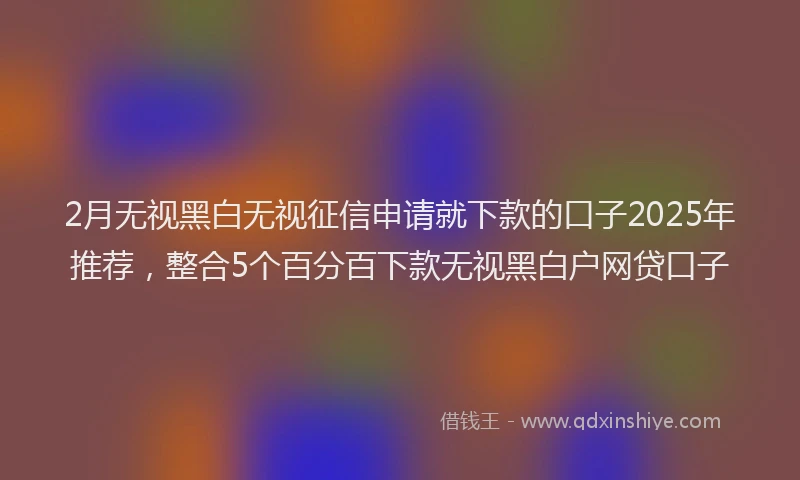 2月无视黑白无视征信申请就下款的口子2025年推荐，整合5个百分百下款无视黑白户网贷口子