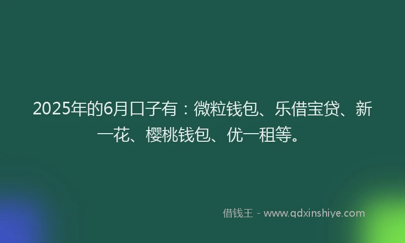 2025年的6月口子有：微粒钱包、乐借宝贷、新一花、樱桃钱包、优一租等。