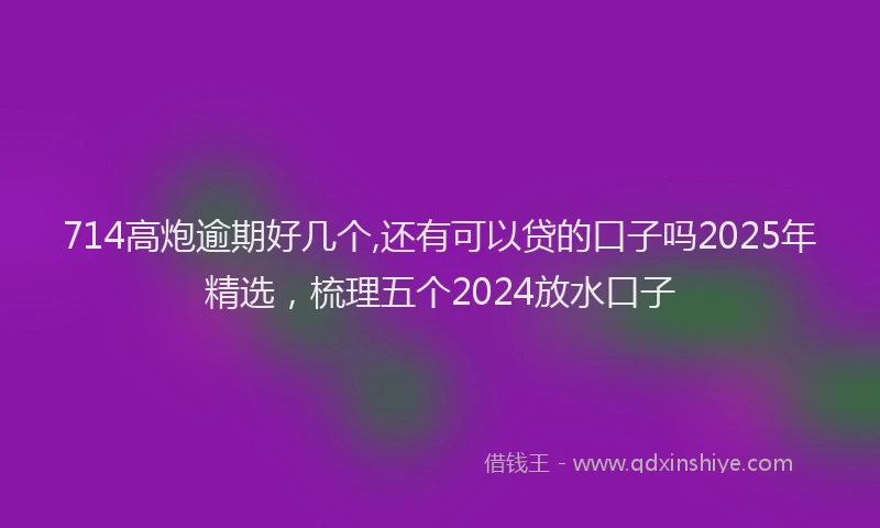 714高炮逾期好几个,还有可以贷的口子吗2025年精选，梳理五个2024放水口子