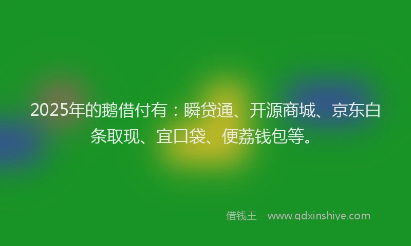 2025年的鹅借付有：瞬贷通、开源商城、京东白条取现、宜口袋、便荔钱包等。