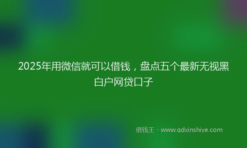 2025年用微信就可以借钱，盘点五个最新无视黑白户网贷口子