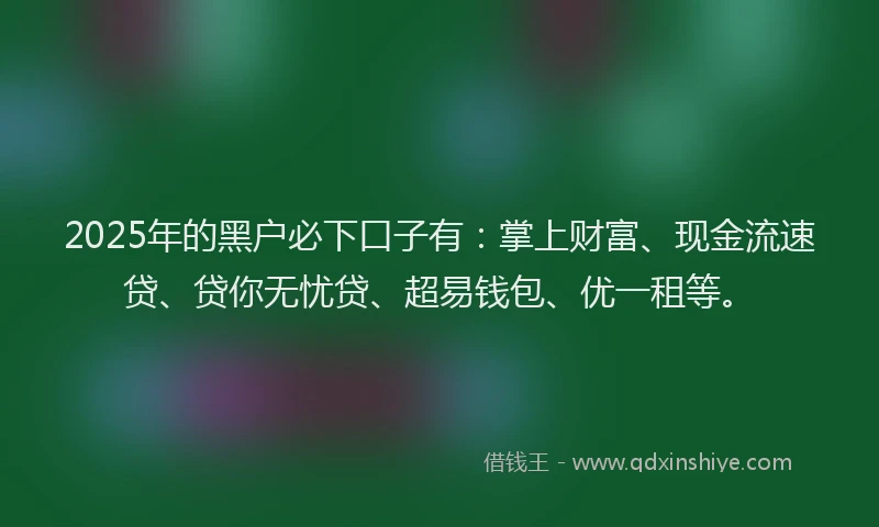 2025年的黑户必下口子有:掌上财富、现金流速贷、贷你无忧贷、超易钱包、优一租等。