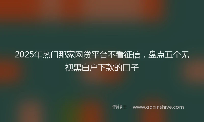 2025年热门那家网贷平台不看征信，盘点五个无视黑白户下款的口子