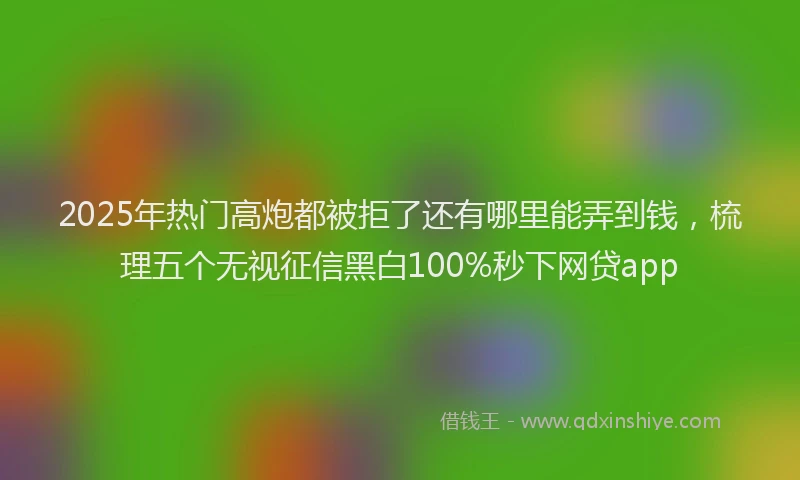 2025年热门高炮都被拒了还有哪里能弄到钱，梳理五个无视征信黑白100%秒下网贷app