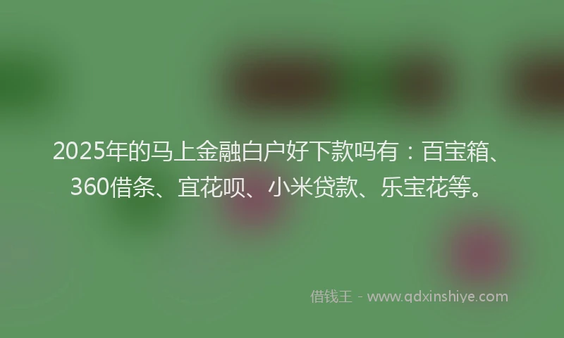 2025年的马上金融白户好下款吗有：百宝箱、360借条、宜花呗、小米贷款、乐宝花等。