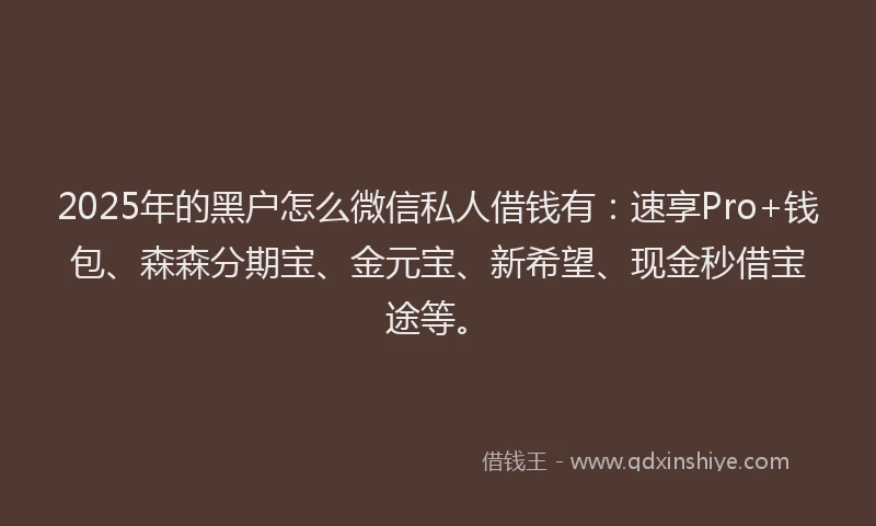2025年的黑户怎么微信私人借钱有：速享Pro+钱包、森森分期宝、金元宝、新希望、现金秒借宝途等。