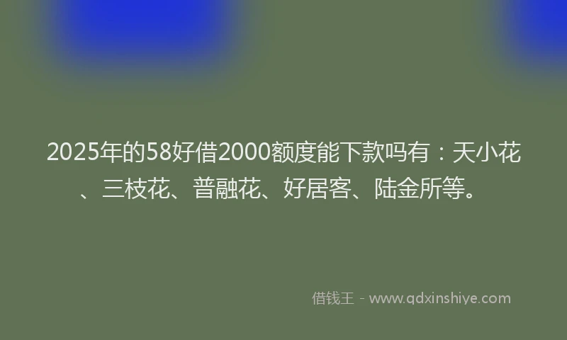 2025年的58好借2000额度能下款吗有：天小花、三枝花、普融花、好居客、陆金所等。