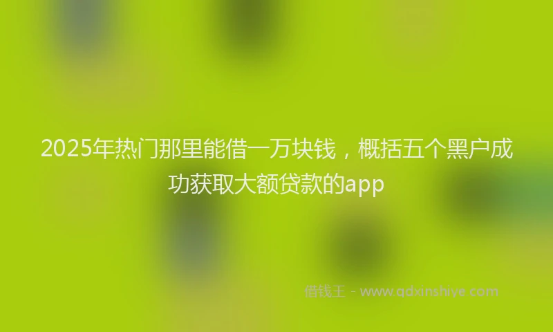 2025年热门那里能借一万块钱，概括五个黑户成功获取大额贷款的app