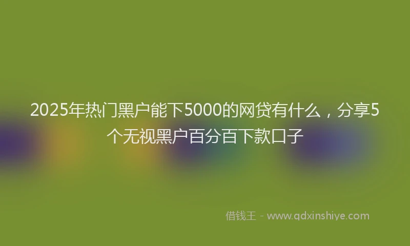 2025年热门黑户能下5000的网贷有什么，分享5个无视黑户百分百下款口子