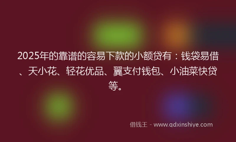 2025年的靠谱的容易下款的小额贷有：钱袋易借、天小花、轻花优品、翼支付钱包、小油菜快贷等。