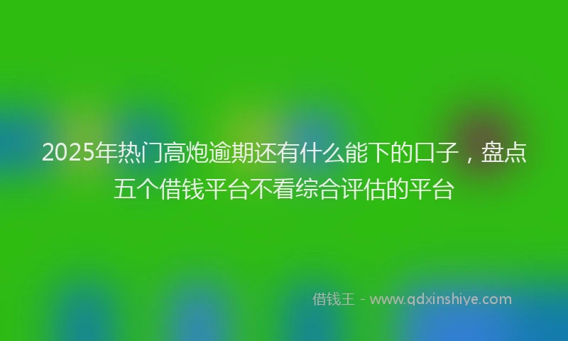 2025年热门高炮逾期还有什么能下的口子，盘点五个借钱平台不看综合评估的平台