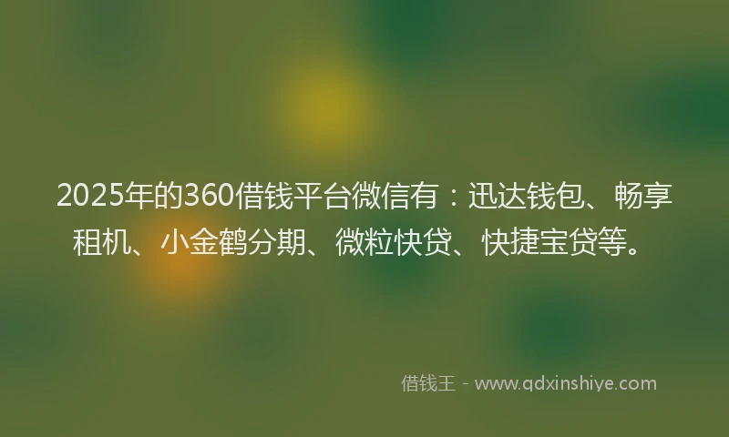 2025年的360借钱平台微信有：迅达钱包、畅享租机、小金鹤分期、微粒快贷、快捷宝贷等。