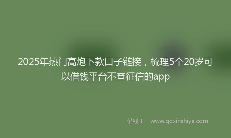 2025年热门高炮下款口子链接，梳理5个20岁可以借钱平台不查征信的app