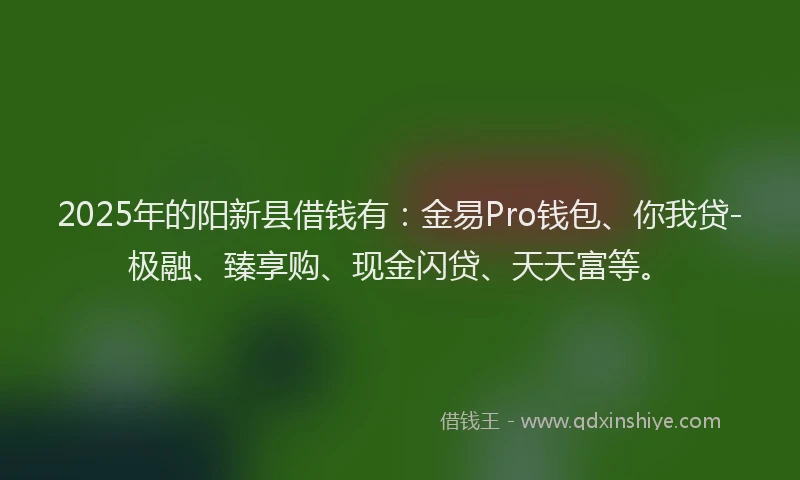2025年的阳新县借钱有：金易Pro钱包、你我贷-极融、臻享购、现金闪贷、天天富等。